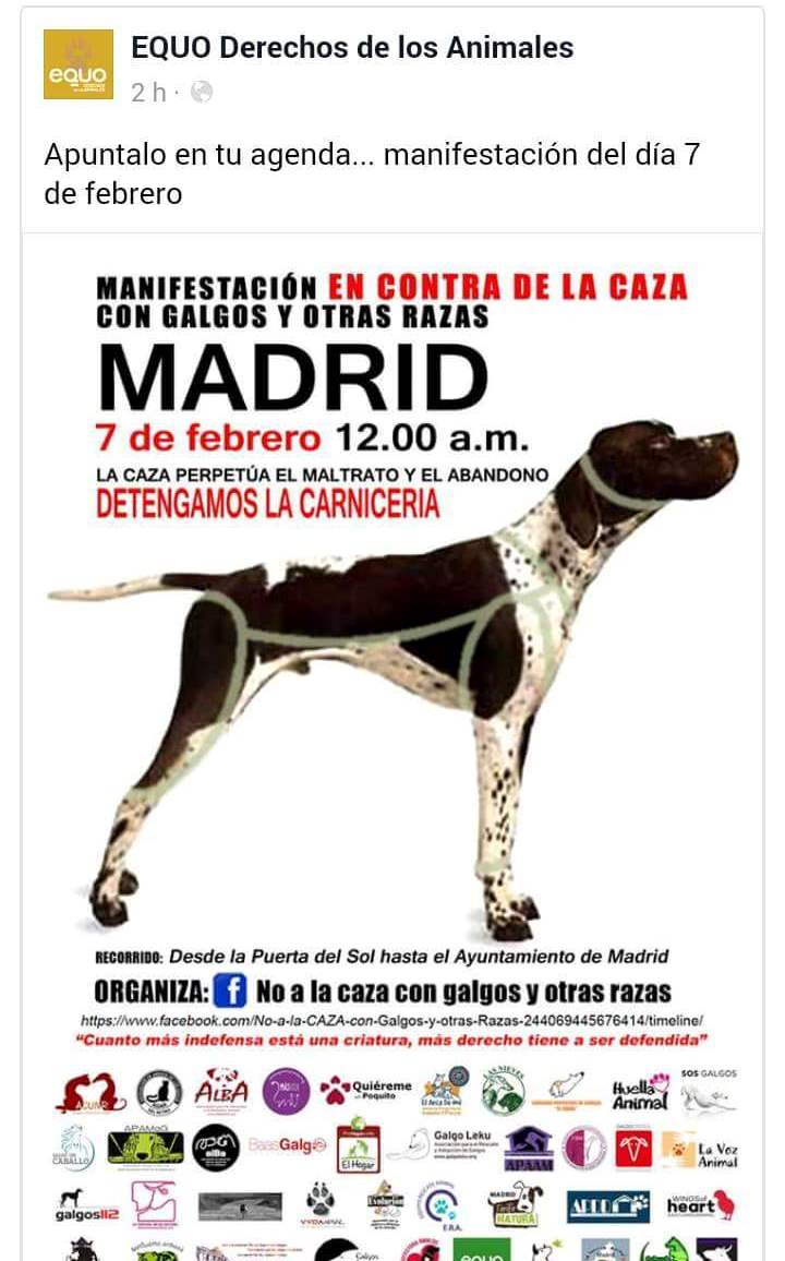 LA CAZA ,APUNTES DE CAZADOR Manifestación