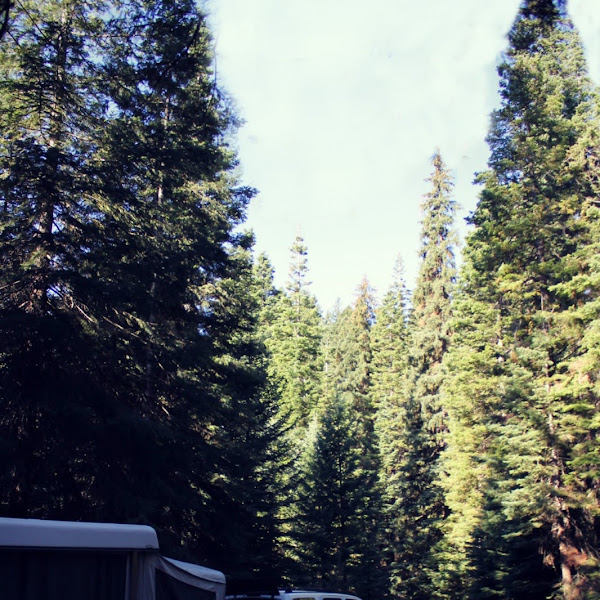 Last Camping trip of the year.