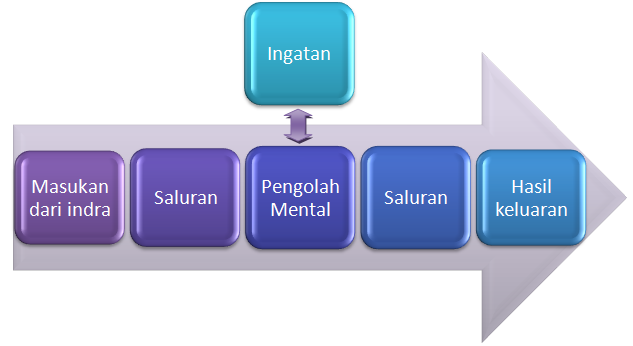 Manusia sebagai Pengolah Informasi ~ SISTEM INFORMASI MANAJEMEN
