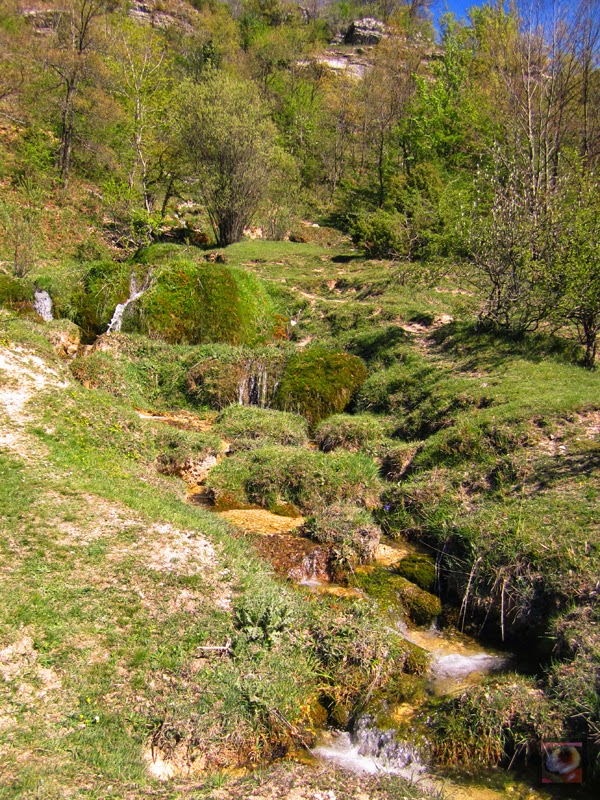 Desfiladero del río Ayuda de Okina (Araba) a Sáseta (Burgos)