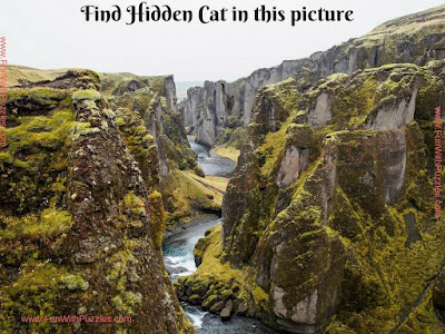 Picture puzzle to find hidden cat