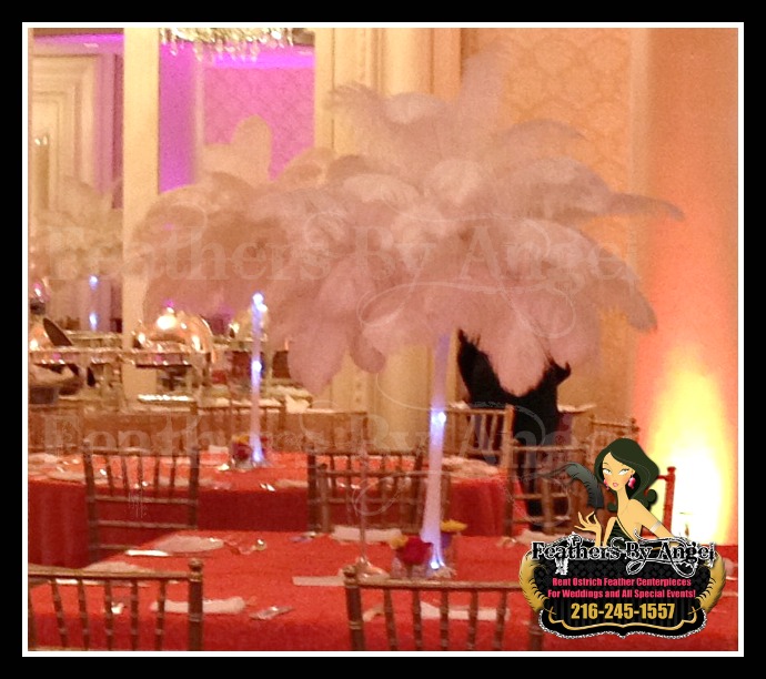 Feather Centerpieces in Cleveland Ohio Ostrich Feather Centerpiece