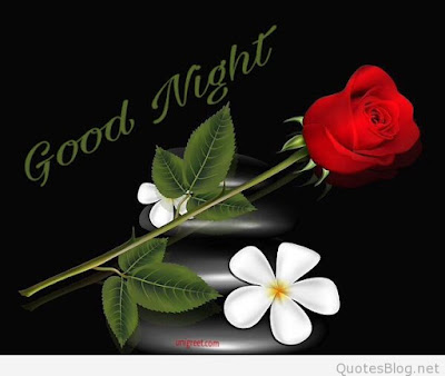 good night good night