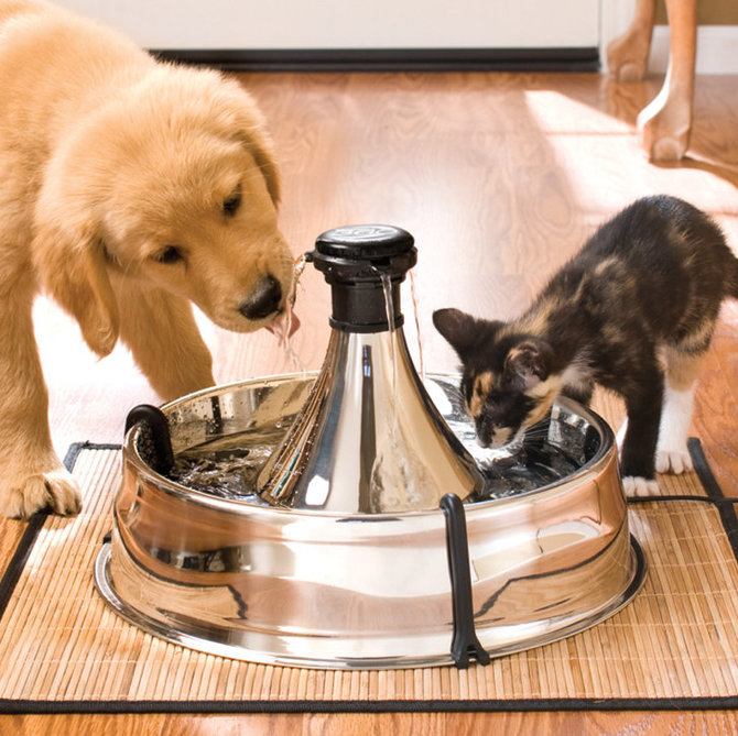 PetSafe Drinkwell® 360 Stainless Steel Pet Fountain Review | Australian