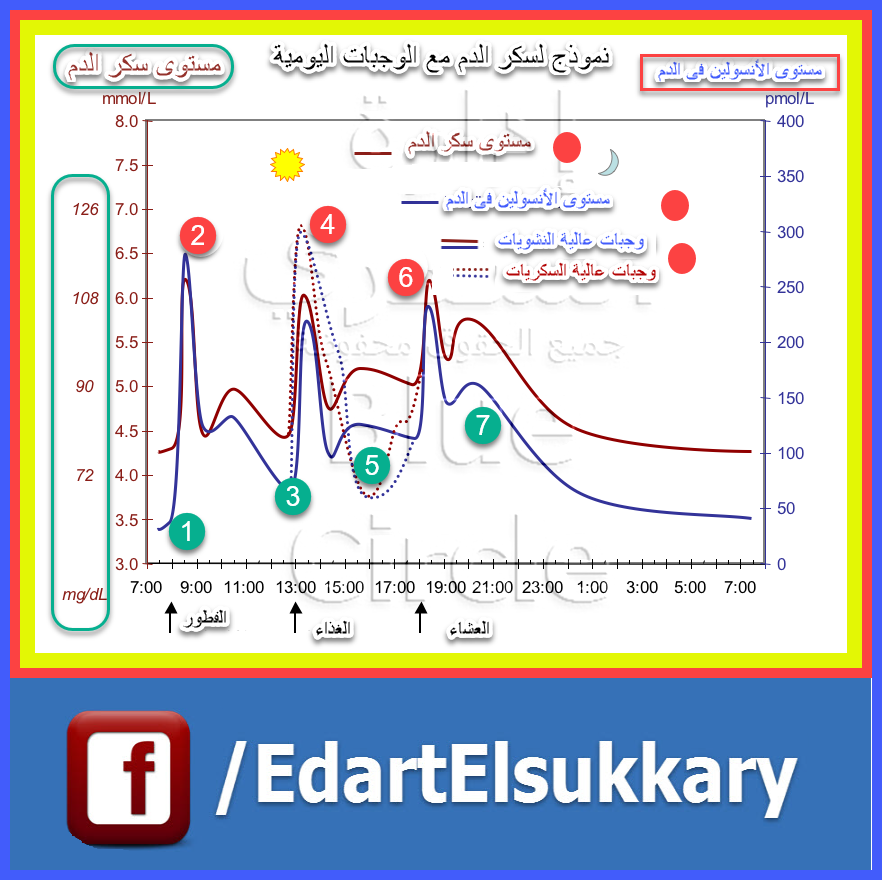 الشعور بالجوع و مستوي السكر في الدم Blue Circle إدارة الســكــري