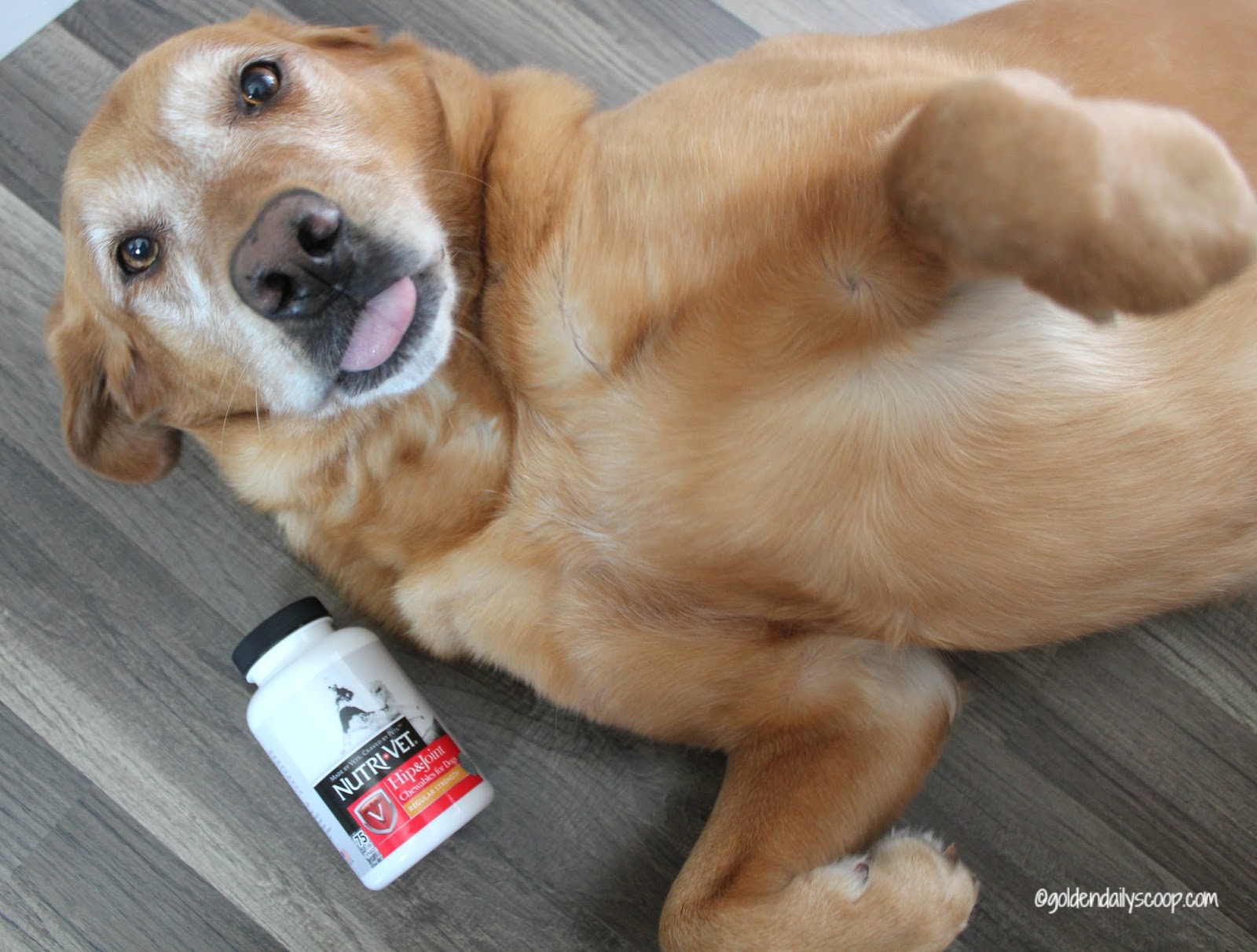 Can I Give My Dog Glucosamine Sulfate Can I Give My Dog Glucosamine Sulfate
