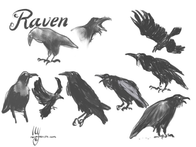 Ravens bird sketches by Ulf Artmagenta