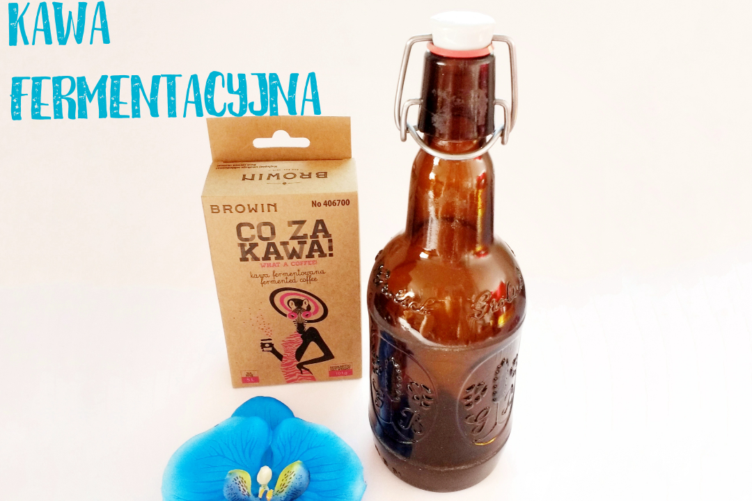 Kawa fermentowana - Co za Kawa! | Browin - Zestaw do wyrobu kawy fermentowanej
