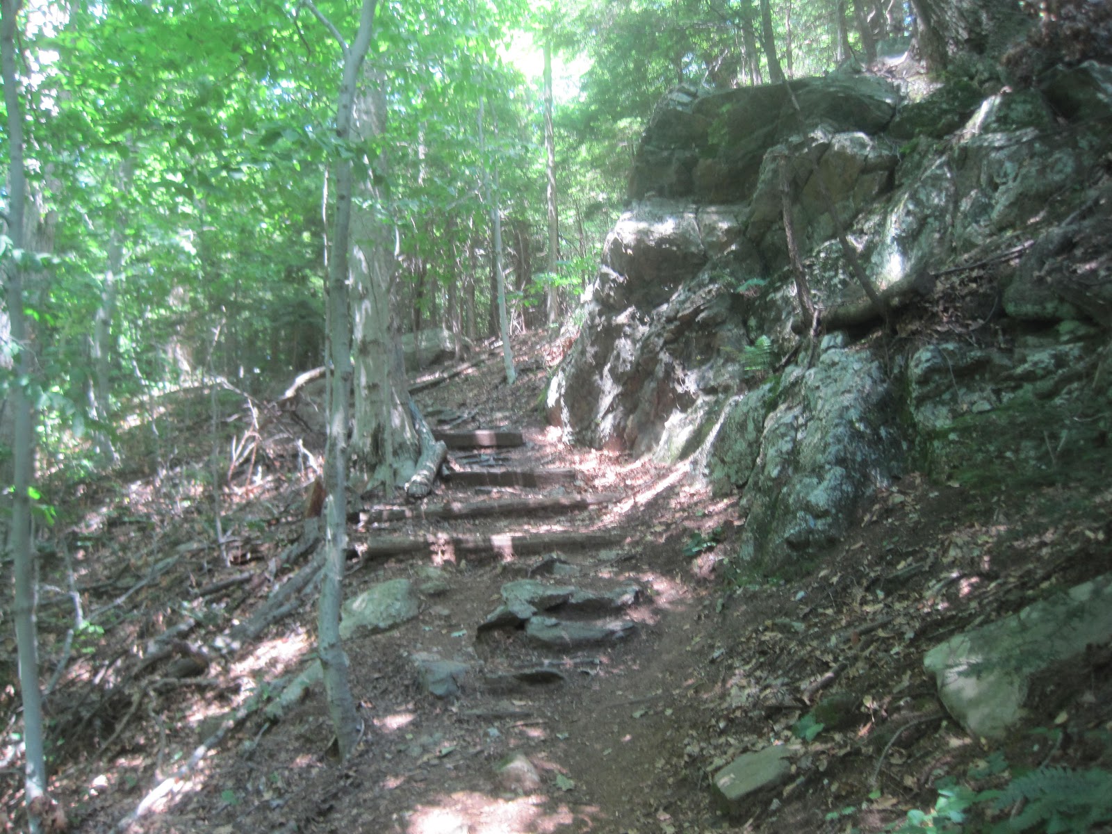 Mt.Tom Billy Goat 2 Chapel Brook Reservation Ashfield Ma. Ashfield