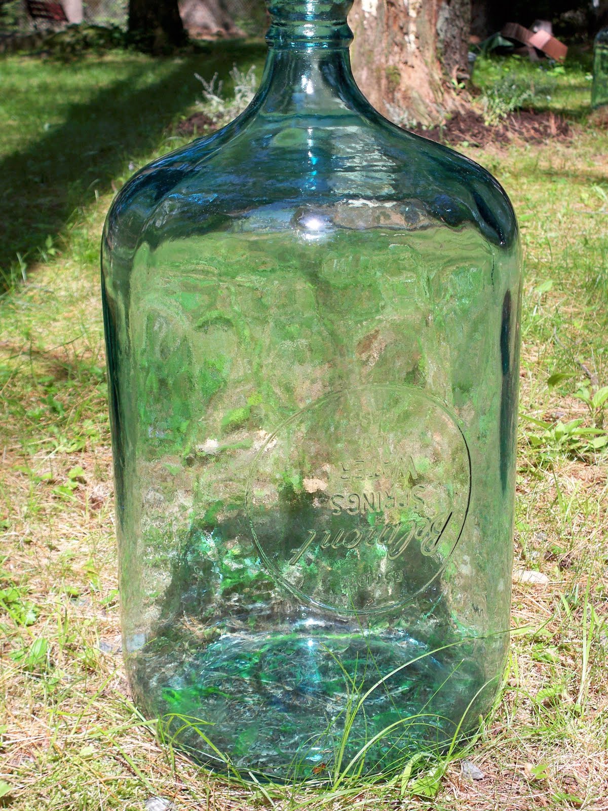 Bonnie's Store 5 GAL GLASS WATER BOTTLE BELMONT SPRINGS CARBOY
