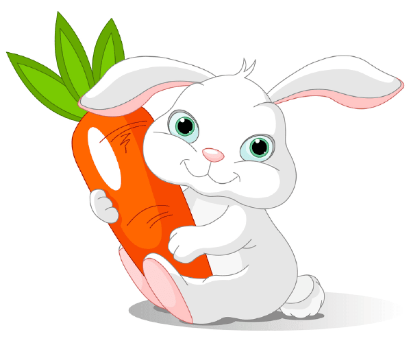 Bunny and Carrot