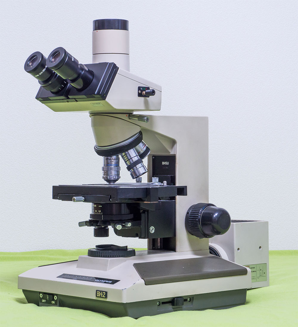 顕微鏡撮影機材：顕微鏡本体の解説とおすすめ機種