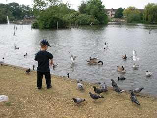 feeding the ducks at baffins pond portsmouth
