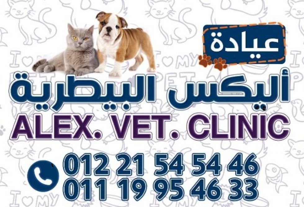 طبيب بيطري في الاسكندرية عيادة أليكس البيطرية العصافرة بحري الاسكندرية