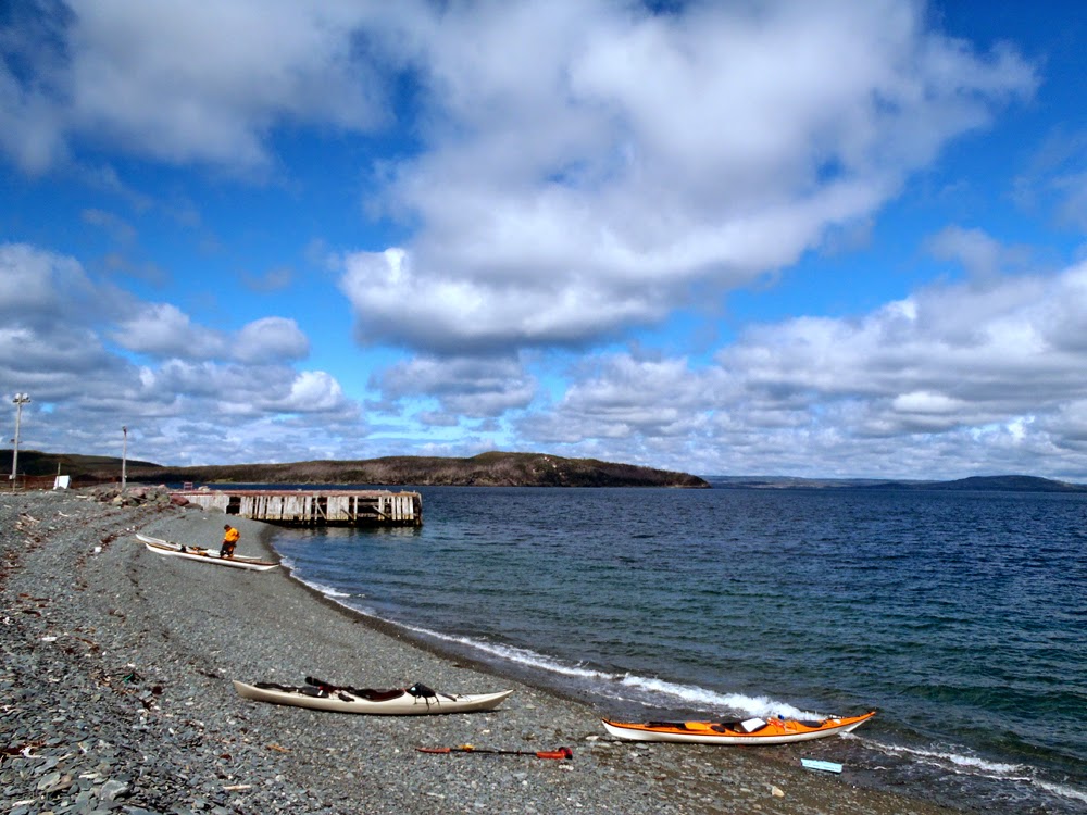 My Newfoundland Kayak Experience Sticking it to the duck in Wild Cove