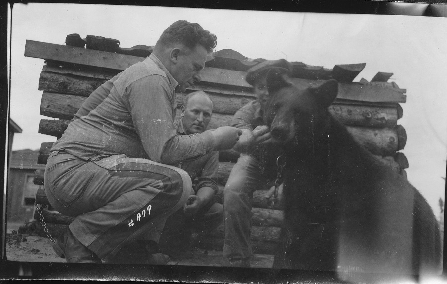 Nipigon Museum The Blog P.O.W. CAMP, NEYS , ONTARIO