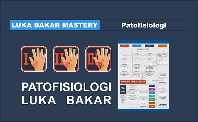 Patofisiologi Luka Bakar Luka Bakar Mastery