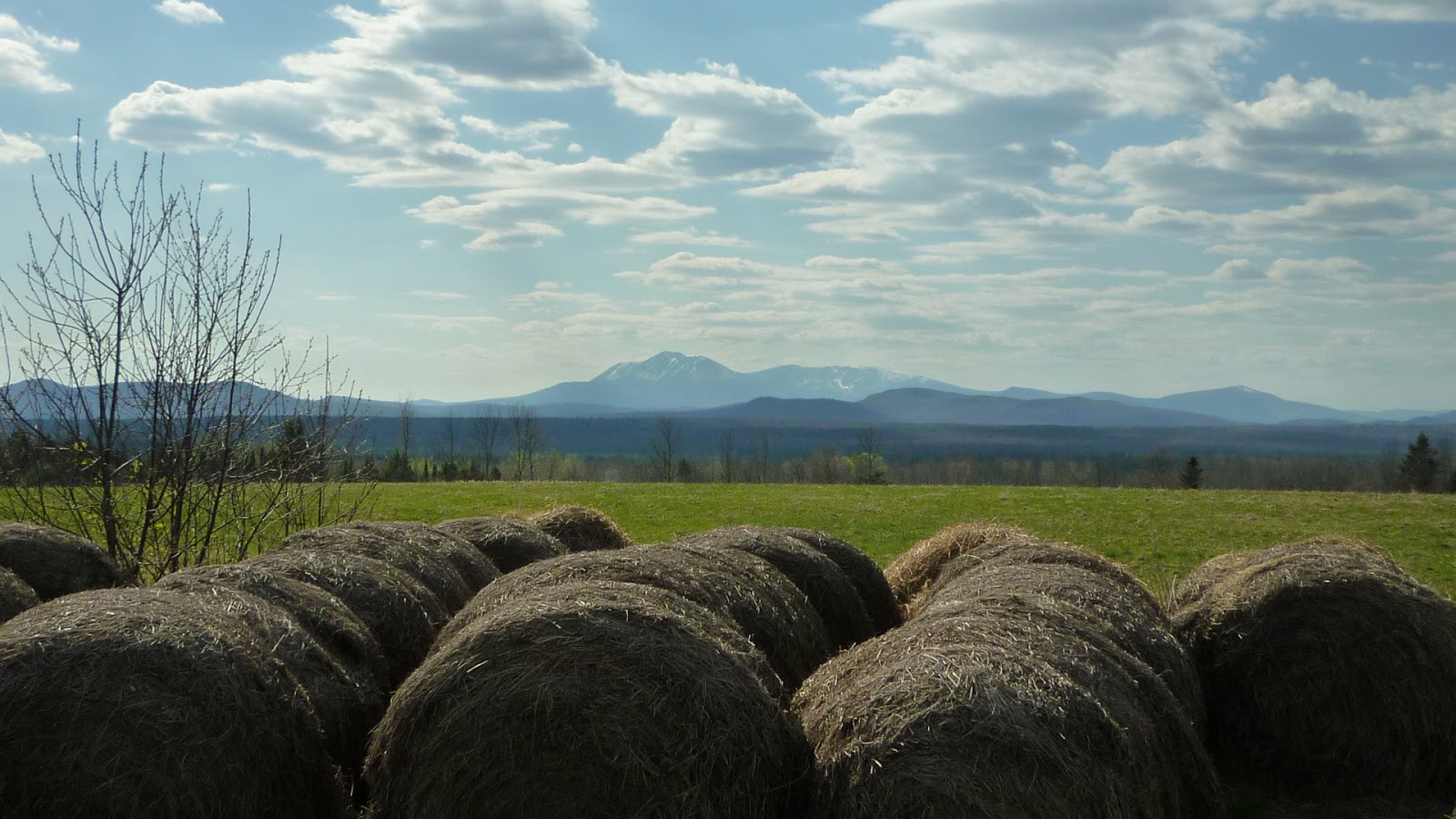 Daily Pics photographs by CarenMarie Michel Abol Falls and Stacyville