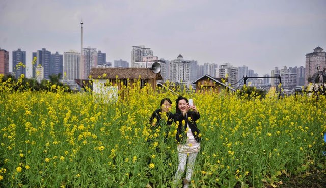 Ada Kebun Besar di Atap Gedung Tinggi di China | LIAT AJA
