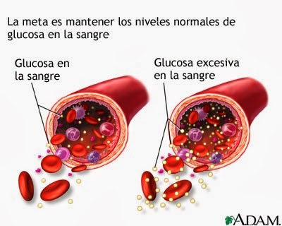 Batidos para bajar de peso para diabeticos
