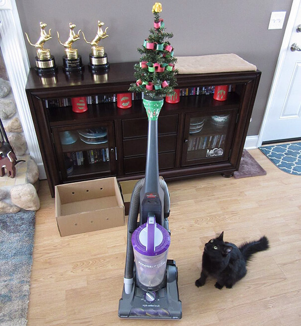 These Geniuses Found A Way To Protect Their Christmas Trees From Their Cats And Dogs These Geniuses Found A Way To Protect Their Christmas Trees From Their Cats And Dogs