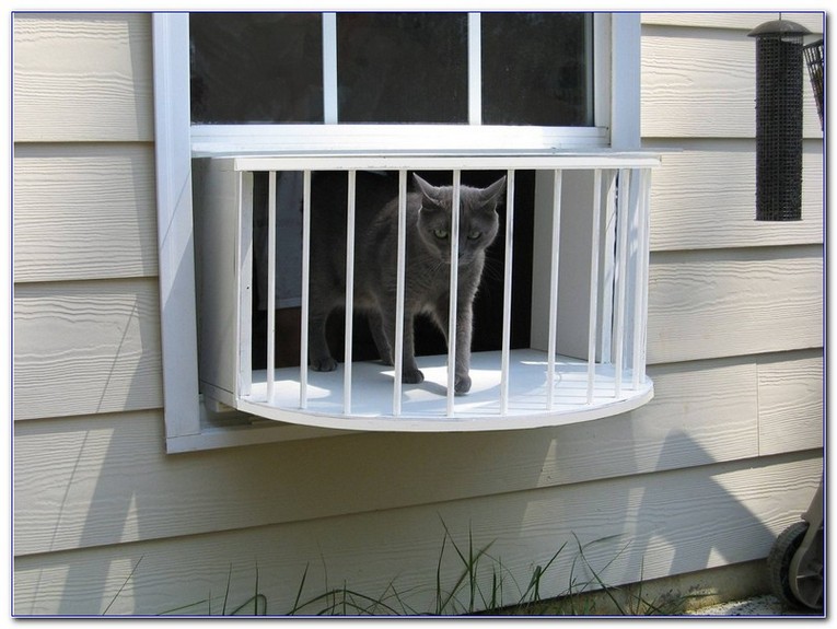 Glass Window Box For Cats Home Car Window Glass Tint Film