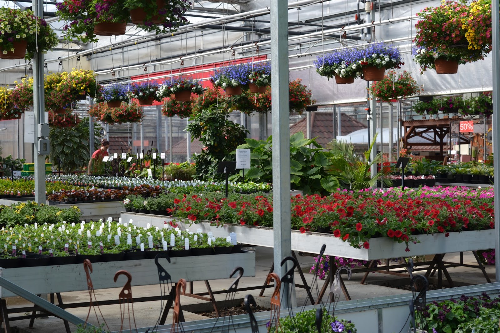 Grand Bend and Area Horticultural Society Blog Shopping at Westland