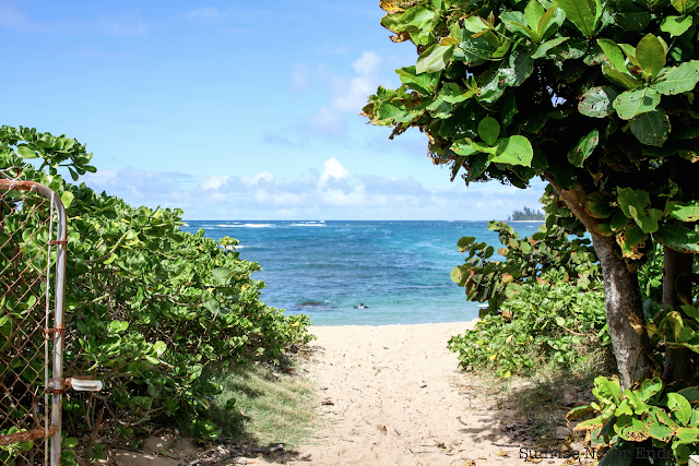 haleiwa,hawaii,north shore,oahu,paradise,a beachy life,surf,surf culture,beach life, beach girl