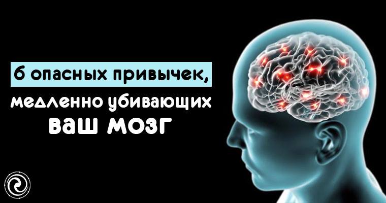 Тест мозга 4. Опасные привычки, медленно убивающие твой мозг.. Ваш мозг. Мозг. Ваша личная история.