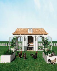 coop chicken chickens neiman posh marcus