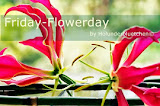 LINKPARTY bei FRIDAY-FLOWERDAY