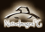 Native American Birdsinging Channel