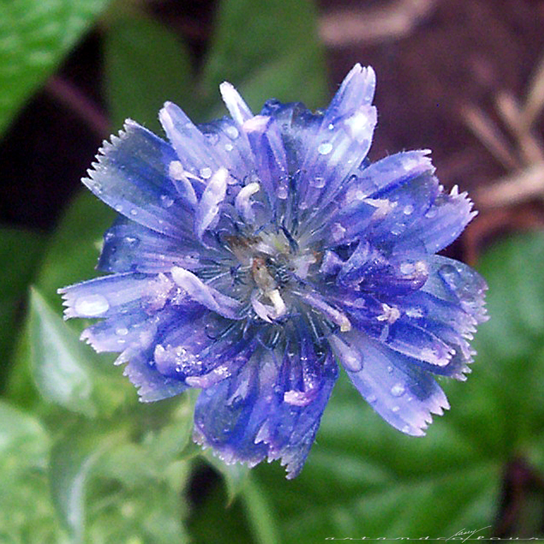 casey/artandcolour July 2012