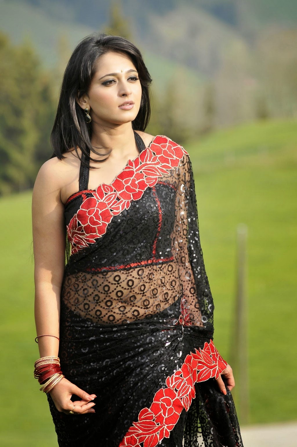 anushka saree photos anushka saree photos