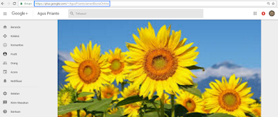 Cara Mudah Merubah URL Alamat Google Plus Dengan Nama Sendiri