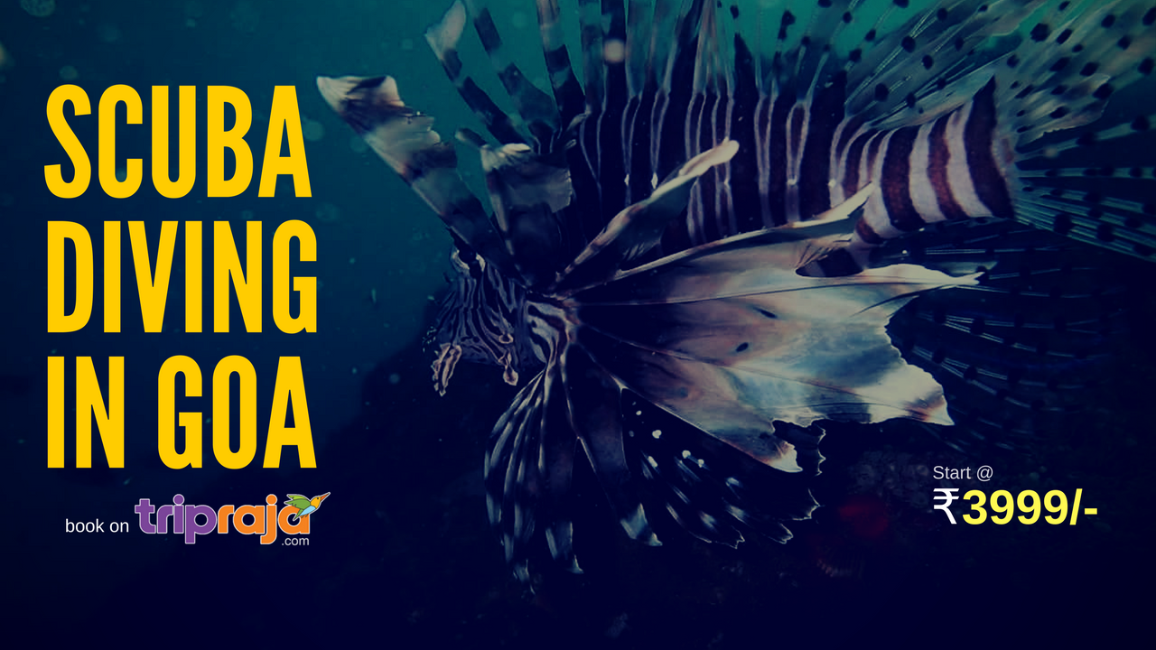 Scuba Diving Packages in Goa PADI Diving Course