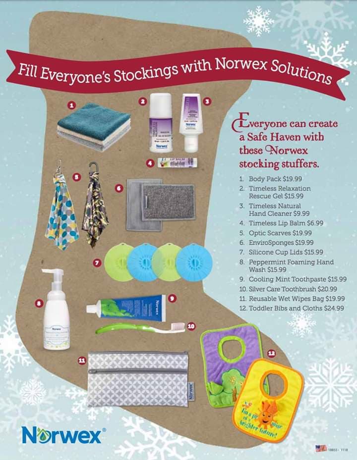 Beautiful Chaos It's Beginning to Look a Lot Like Christmas with Norwex!