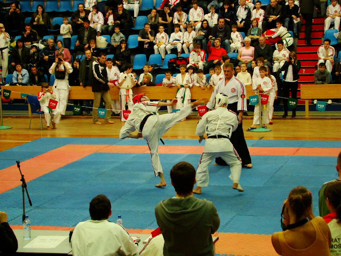Чемпионат России по карате 2010