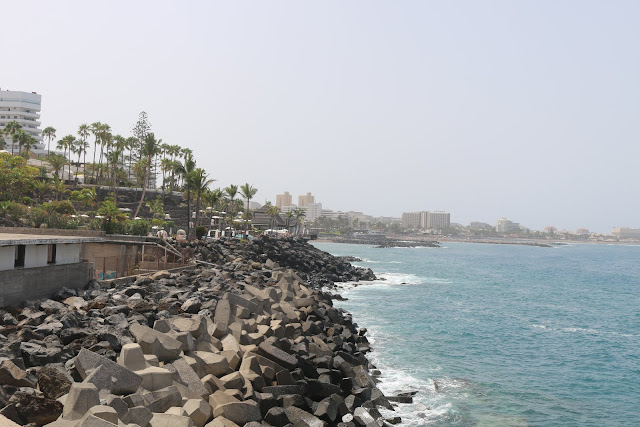 jardin tropical exterior jardin tropical exterior