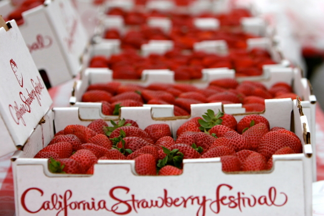 tanaman hias buah strawberry california