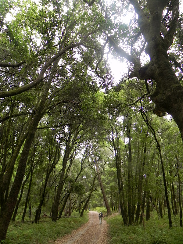 A Day in the Life of the Wood's Exploring California Snapshot 574