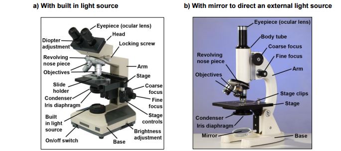 Intro Operating Procedure Of Compound Light Microscope System In 10 Steps Inside Chemistry