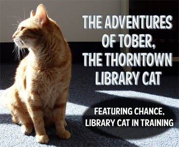 Tober the Library Cat (Featuring Chance)