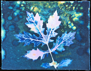 Wet Cyanotype_Sue Reno_Image 323