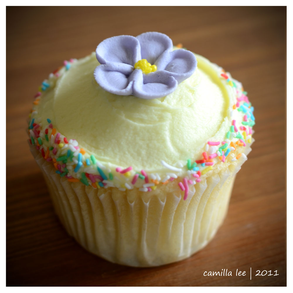 a whimsical affair cupcake decorating class