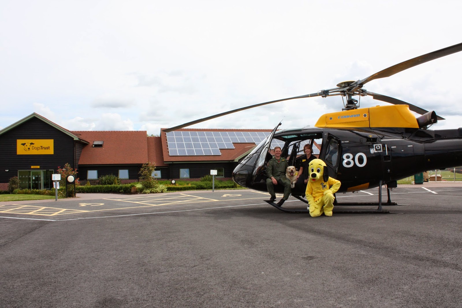 Dogs Trust Dogs Trust Shrewsbury Open Day