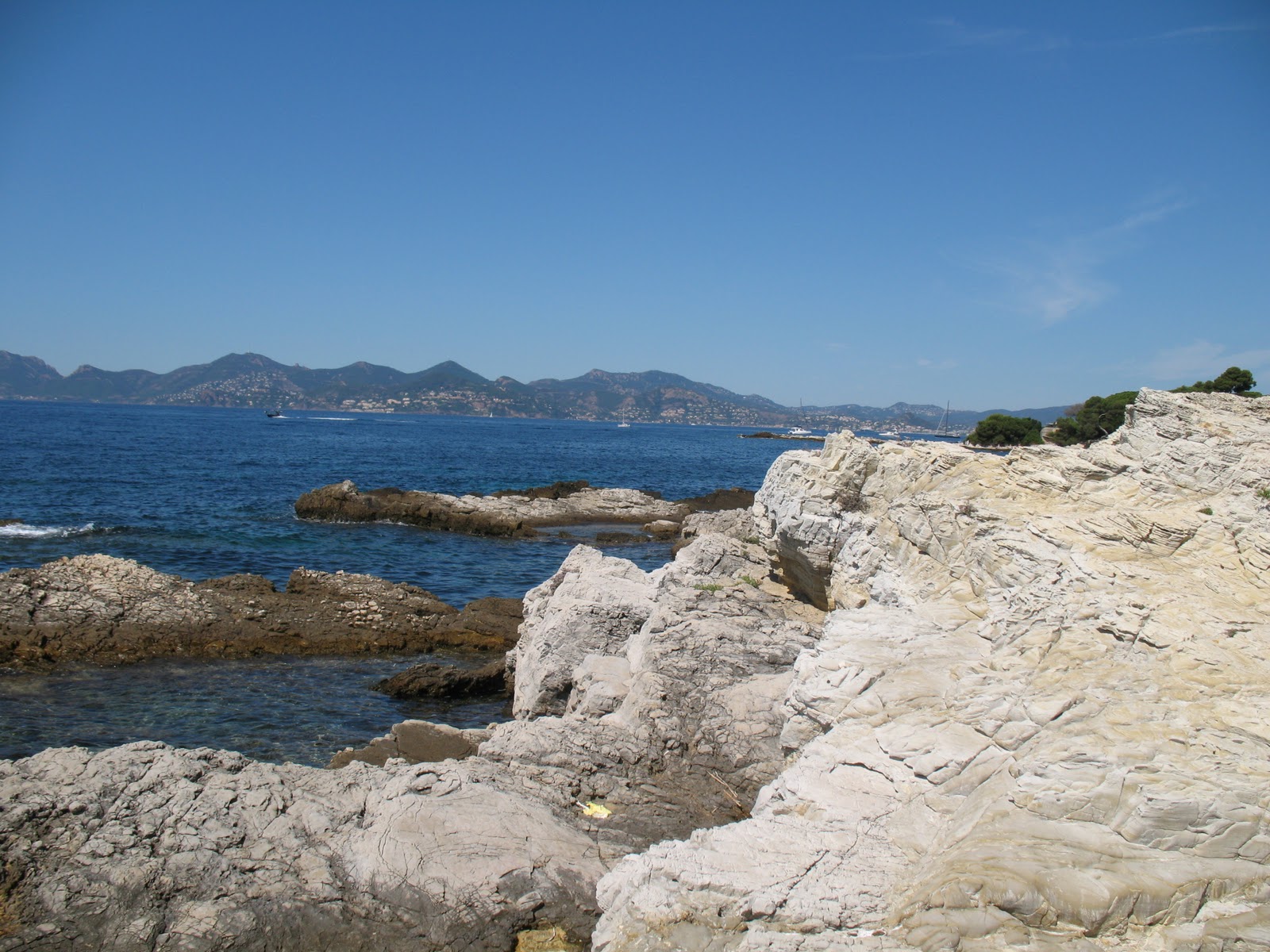 Roses du jardin Chêneland Plantations d'automne