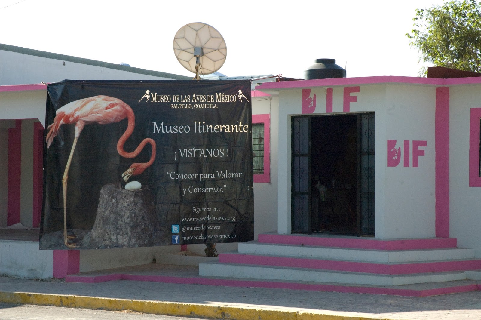Museo Itinerante del Museo de las Aves de Mexico Escobedo, Coahuila