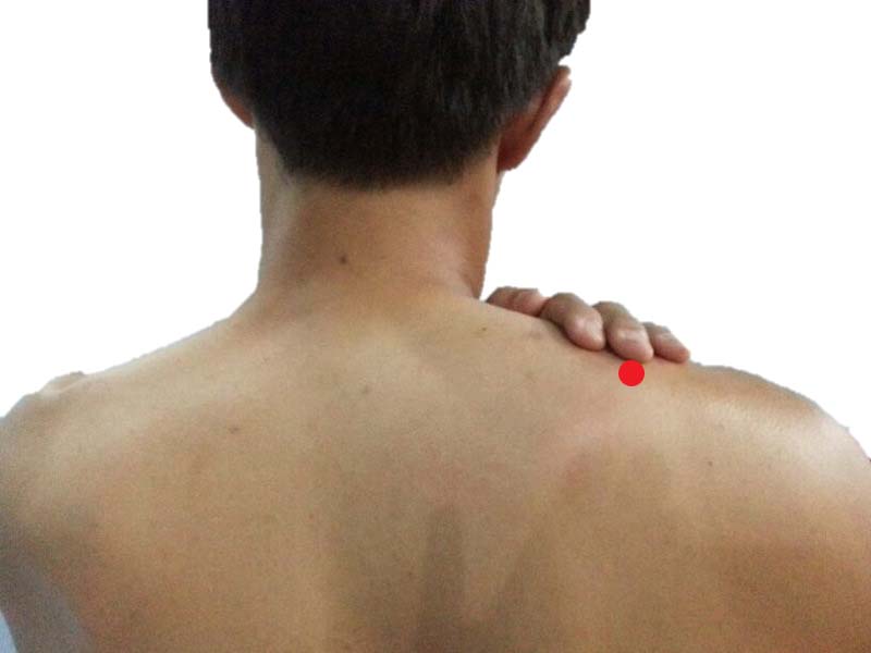 Боль в спине. Болят плечи и позвоночник. Болит лопатка. Шейный радикулит. Болят плечи и позвоночник.