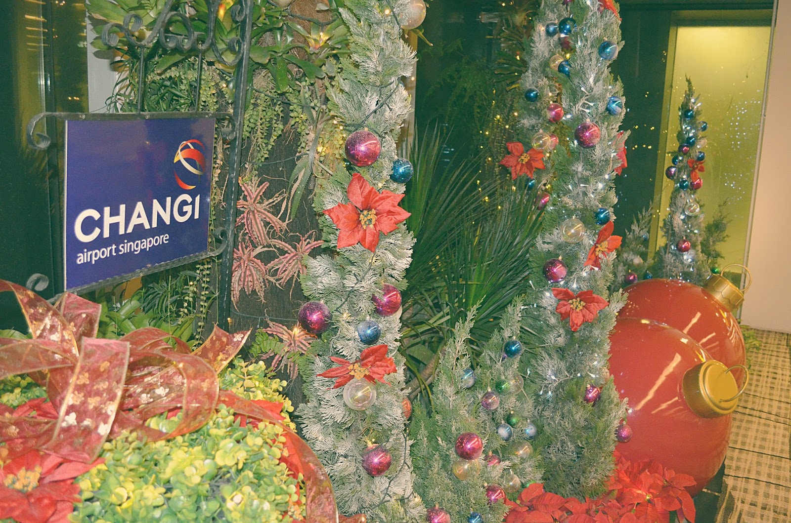 Sunday Snapshot A Changi Christmas
